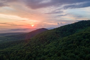 Gün batımında dağ tepelerini kaplayan koyu ladin ağaçlı yeşil çam ormanlarının hava manzarası. Yukarıdan orman manzarası yok