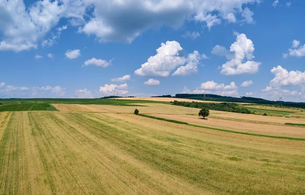 Luftaufnahme von grün und gelb bewirtschafteten landwirtschaftlichen Feldern mit wachsenden Pflanzen an hellen Sommertagen — Stockfoto