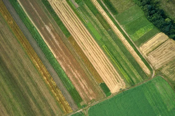 Flygfoto landskap utsikt över gröna och gula odlade jordbruksfält med växande grödor på ljusa sommardag — Stockfoto