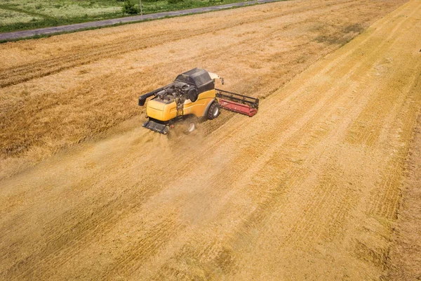 Vista aerea di mietitrebbia raccolta grande campo di grano maturo. Agricoltura da drone vista — Foto Stock