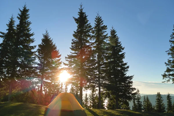 Tenda de acampamento turístico no acampamento da montanha em noite ensolarada brilhante. Conceito de turismo ativo e caminhadas — Fotografia de Stock