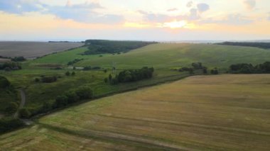Sarı ekili tarla manzarası açık yaz gününde olgunlaşmış buğdayla birlikte.