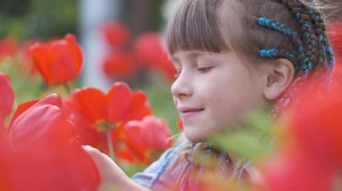 Mutlu kız çocuğu yaz bahçesinde oynuyor güneşli bir günde kırmızı lale çiçeklerinin tatlı kokusunun tadını çıkarıyor.