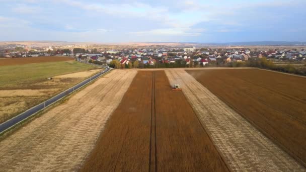 Letecký pohled na kombajn pracující během sklizně na velkém zralém pšeničném poli. Koncept zemědělství — Stock video