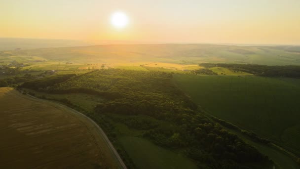 Vue aérienne du paysage des champs agricoles cultivés verts avec des cultures en croissance et des maisons de village lointaines le soir d'été lumineux — Video
