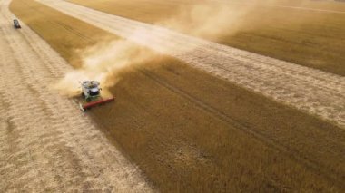 Buğday tarlasında hasat mevsiminde çalışan hasat makinesinin hava görüntüsü. Tarım kavramı