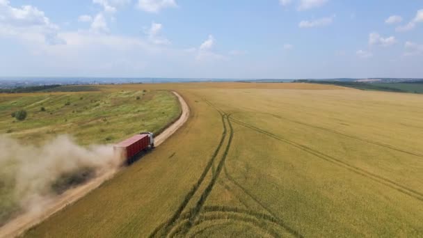 Aerial view of cargo truck driving on dirt road between agricultural wheat fields making lot of dust. Transportation of grain after being harvested by combine harvester during harvesting season — Wideo stockowe