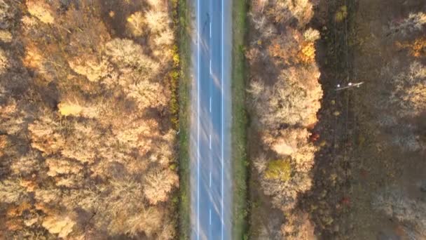 Vista aérea de la carretera interurbana vacía entre bosques de otoño al atardecer. Vista superior desde el dron de la carretera en la noche — Vídeos de Stock
