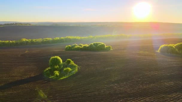 Baharda yeşil ormanlar arasında gün batımında ekin ekmeye hazırlanan ekili verimli topraklarla tarımsal tarlaların havadan görünüşü — Stok video