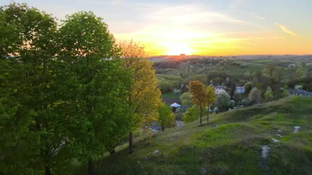 Flygfoto av skog med färska gröna träd och små byhus tidigt på våren vid solnedgången — Stockvideo