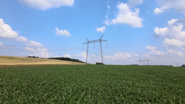 Tårn med elektriske kraftledninger for overføring av høyspentelektrisitet plassert i maisåker i landbruket. Levering av begrepet elektrisk energi – stockvideo