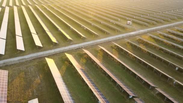 Luftaufnahme eines großen nachhaltigen Kraftwerks mit vielen Reihen von Photovoltaikmodulen zur Erzeugung sauberer elektrischer Energie bei Sonnenuntergang. Erneuerbarer Strom mit Null-Emissions-Konzept — Stockvideo