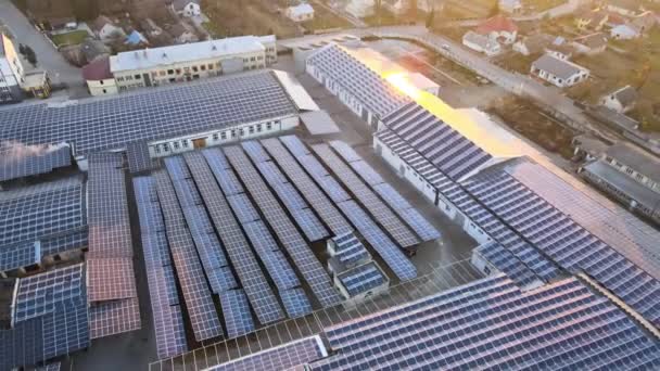 Luchtfoto van blauwe fotovoltaïsche zonnepanelen gemonteerd op industrieel gebouwendak voor de productie van groene ecologische elektriciteit. Productie van concept voor duurzame energie — Stockvideo