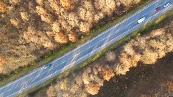 Vista aérea de la carretera interurbana con coches de conducción rápida entre los árboles del bosque de otoño al atardecer. Vista superior desde el dron del tráfico por carretera en la noche — Vídeos de Stock