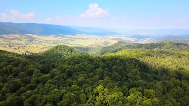 晴朗的夏日，高山上覆盖着茂密的青翠茂密的森林，空中尽收眼底 — 图库视频影像