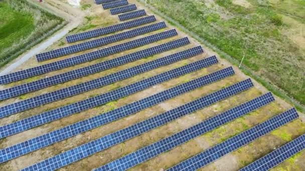 Вид солнечной электростанции с воздуха на зеленое поле. Электроферма с панелями для производства чистой экологической энергии — стоковое видео