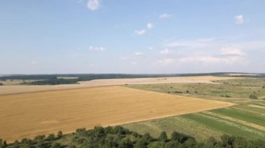 Tarım buğday tarlaları arasında toprak yolda giden kargo kamyonunun hava görüntüsü çok toz yapıyor. Hasat mevsiminde hasatçıların topladığı tahıl naklinden sonra.