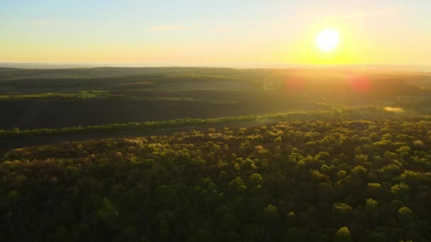 Вид с воздуха на лес со свежими зелеными деревьями ранней весной на закате — стоковое видео