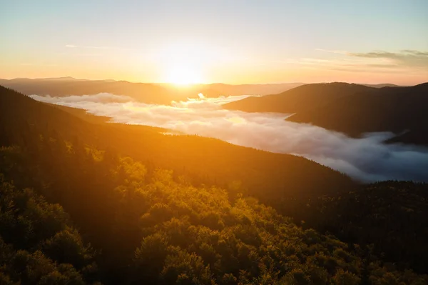 Vista aérea de la brillante mañana brumosa sobre los árboles del bosque de montaña oscuro al amanecer de otoño. Hermoso paisaje de bosque salvaje al amanecer — Foto de Stock