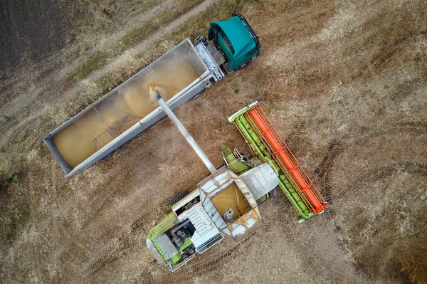 Vue aérienne de la moissonneuse-batteuse déchargeuse de grain dans une remorque de chargement travaillant pendant la saison de récolte sur un grand champ de blé mûr. Agriculture et transport des produits agricoles bruts concept — Photo