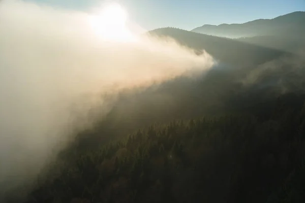 Vista aérea da noite nebulosa sobre árvores de floresta de pinheiros escuros ao pôr do sol brilhante. Paisagem incrível de floresta de montanha selvagem ao entardecer — Fotografia de Stock