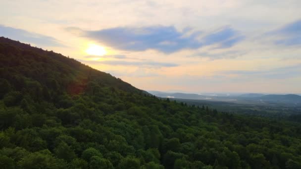 Gün batımında dağ tepelerini kaplayan koyu ladin ağaçlı yeşil çam ormanlarının hava manzarası. Yukarıdan orman manzarası yok — Stok video