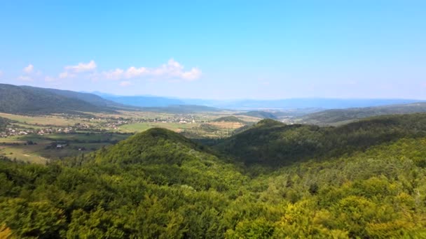 Вид з повітря на гірські пагорби, вкриті густими зеленими пишними лісами в яскравий літній день — стокове відео