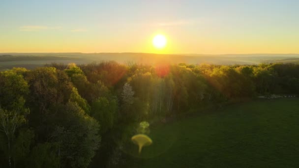 Вид з повітря на ліс зі свіжими зеленими деревами та сільськогосподарськими орними полями на початку весни на заході сонця — стокове відео