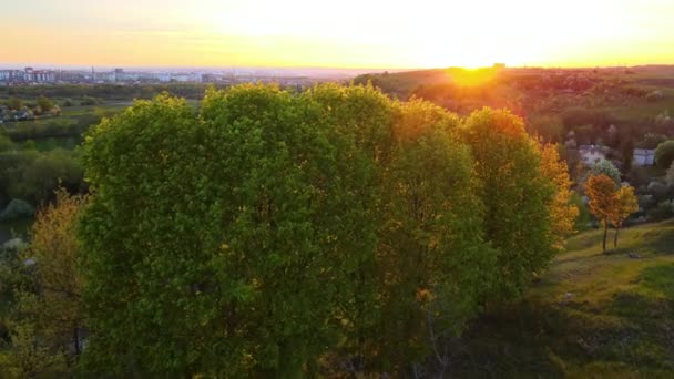 初春日落时分，空中俯瞰绿树成荫的林地和村舍 — 图库视频影像