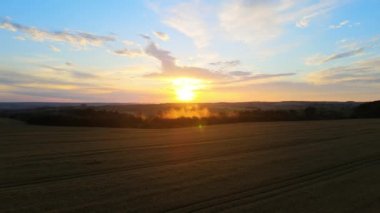 Canlı bir yaz akşamında olgun buğdayla ekili sarı tarım arazisinin havadan manzarası.