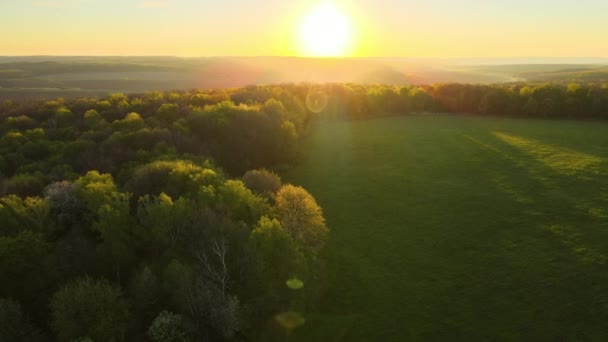 Aerial view of woodland with fresh green trees and agricultural arable fields in early spring at sunset — Stock Video