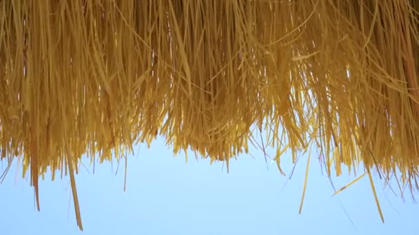 Close-up detail van geel strodak tegen blauwe lucht — Stockvideo