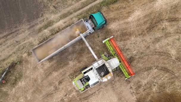 Widok z lotu ptaka na kombajn zbożowy rozładowujący zboże w przyczepie ładunkowej pracujący w sezonie zbiorów na dużym dojrzałym polu pszenicy. Koncepcja rolnictwa i transportu produktów rolnych — Wideo stockowe