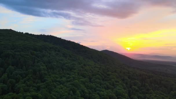 Vista aérea de pinhal verde com árvores de abeto escuro cobrindo colinas de montanha ao pôr do sol. Paisagem de bosques notáveis de cima — Vídeo de Stock
