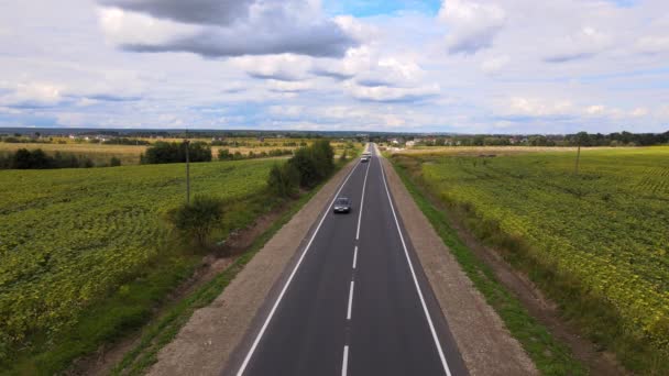 Flygfoto över intercity väg mellan gröna jordbruksfält med snabb körning bilar. Ovanifrån från drönare av motorvägstrafik — Stockvideo