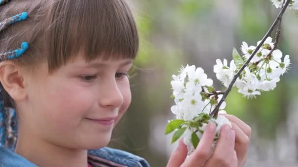 Menina feliz desfrutando de cheiro doce de flores floridas de cerejeira branca no dia ensolarado no jardim da primavera — Vídeo de Stock