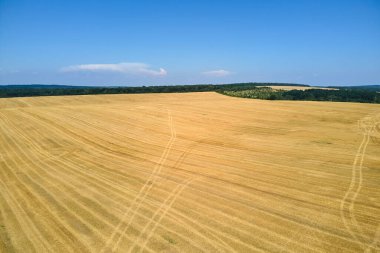 Buğday hasadından sonra kuru samanla ekilmiş sarı tarım arazisinin havadan manzarası