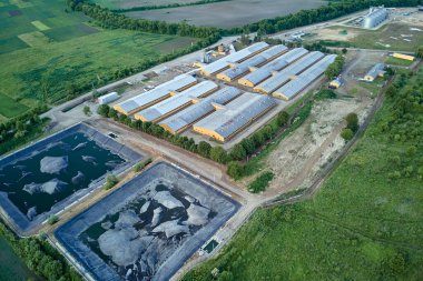 Yeşil tarlalar arasındaki sığır çiftliği binalarının havadan görünüşü