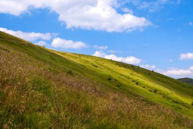 Yazın çimenli yeşil çayır ve uzak dağ tepeleriyle aydınlık bir manzara.