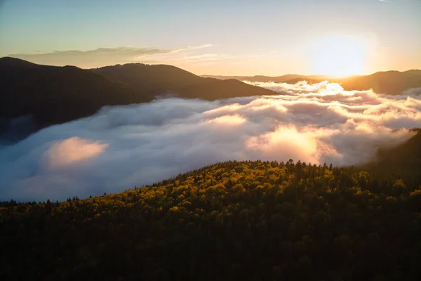Vista aérea da manhã nebulosa brilhante sobre árvores escuras da floresta de montanha no nascer do sol do outono. Bela paisagem de floresta selvagem ao amanhecer — Fotografia de Stock