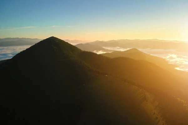 Вид с воздуха на яркое туманное утро над темной вершиной с горными лесами на осеннем восходе солнца. Сценарий дикого леса на даче — стоковое фото