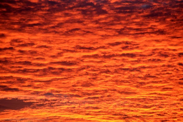 Bright colorful sunset sky with vivid smooth clouds illuminated with setting sun light spreading to horizon — 图库照片