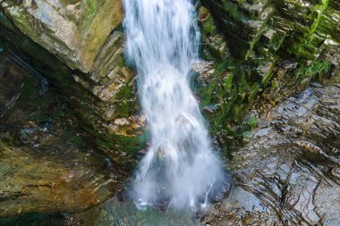 Yaz ormanlarında kayalık oluşumdan dökülen köpüklü suyla birlikte dağ nehrine dökülen şelale.