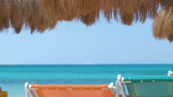 Detalj av halmskugga paraplyer på havet i tropiska resort. Sommarsemester och flyktkoncept — Stockvideo