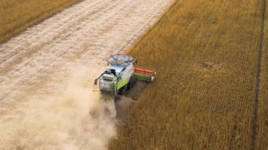 Buğday tarlasında hasat mevsiminde çalışan hasat makinesinin hava görüntüsü. Tarım kavramı