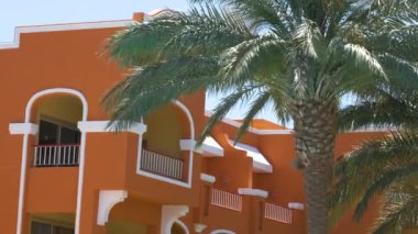 Yeşil hindistan cevizi palmiyeleri rüzgarda sallanıyor tropikal sahilde mavi gökyüzüne ve otel binalarına karşı. Yaz tatili kavramı