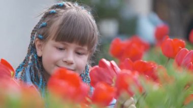 Mutlu kız çocuğu yaz bahçesinde kırmızı lale çiçeklerinin tatlı kokusunun tadını çıkarıyor.
