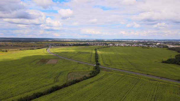 Zicht vanuit de lucht op groen beteelde landbouwvelden met groeiende gewassen op heldere zomerdag — Stockvideo