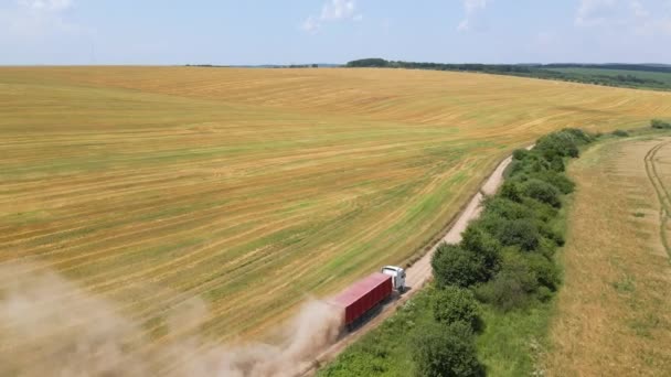 Luchtfoto van vrachtwagen vrachtauto rijden op onverharde weg tussen agrarische tarwevelden. Vervoer van graan na oogst door maaidorser tijdens oogstseizoen — Stockvideo