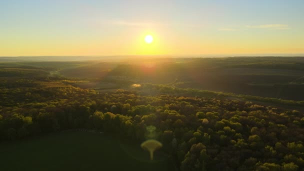 Widok z powietrza na lasy ze świeżymi zielonymi drzewami i rolniczymi polami uprawnymi wczesną wiosną o zachodzie słońca — Wideo stockowe